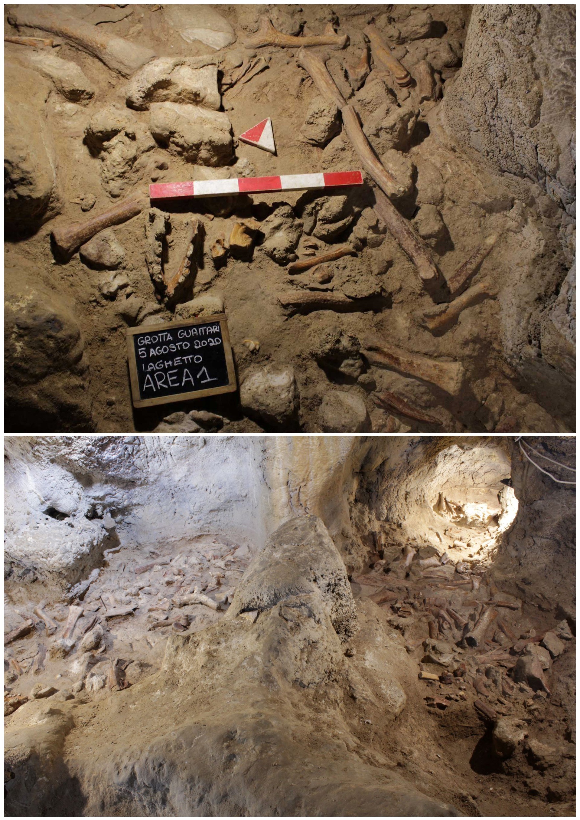 Cueva de Guattari: hallazgo excepcional en la gruta que guarda secretos  prehistóricos - Diario El Sol. Mendoza, Argentina.