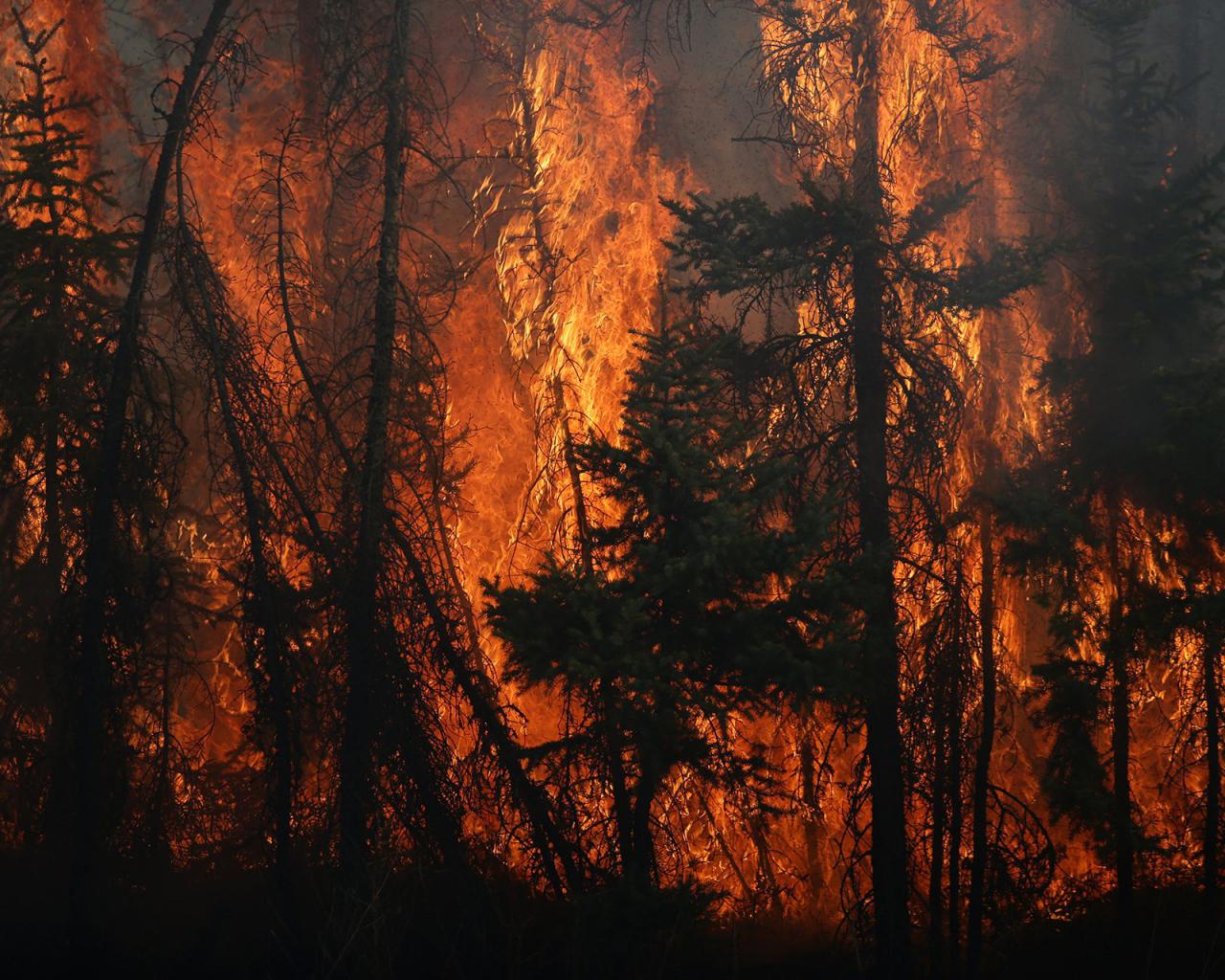 Canadá el fuego no cesa y se han consumido 200 mil hectáreas Diario